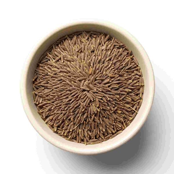 cumin in bowel